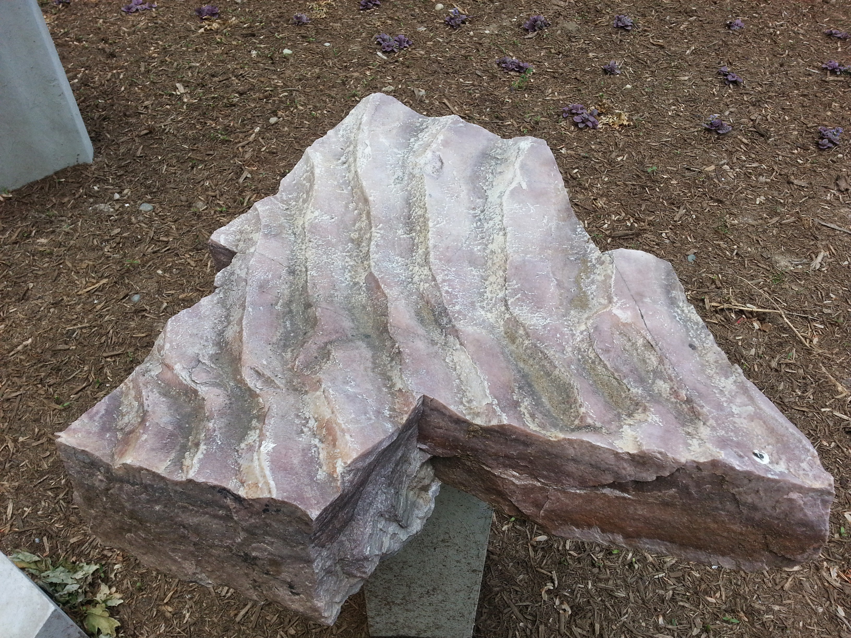 Fossil Rippled Sandstone